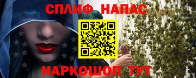 мяу мяу мука Гусев