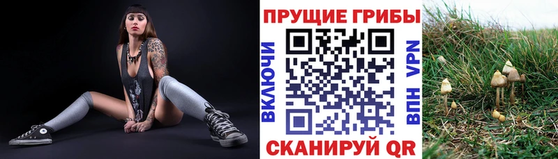 Галлюциногенные грибы GOLDEN TEACHER  Набережные Челны 
