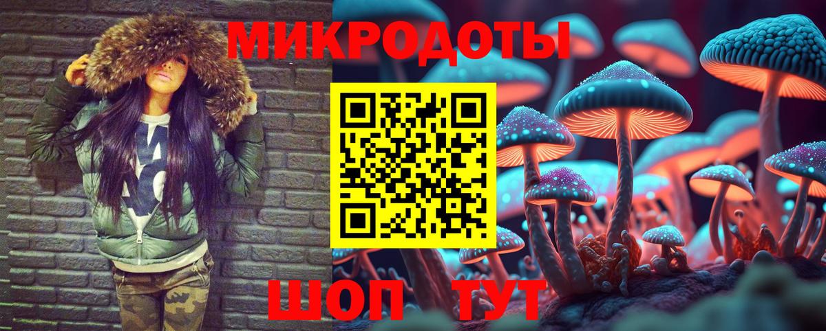 Набережные Челны  что такое   Вход с VPN  Галлюциногенные грибы Psilocybe 