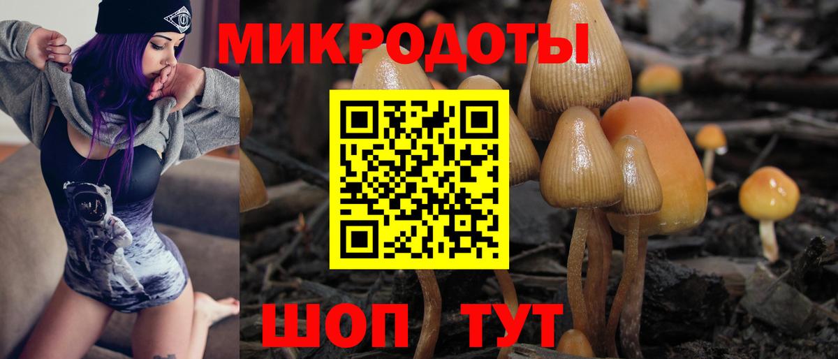 Псилоцибиновые грибы Magic Shrooms Набережные Челны